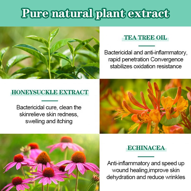 Private Label Tea Tree Oil Salicylic Acid Skin Repair Lighten Anti Acne Scar Pimple Shrink Pores Face Cream