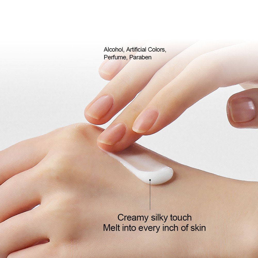 Custom Private Label Moisturizer Probiotic Ferment Balance Skin Probiotic Face Cream