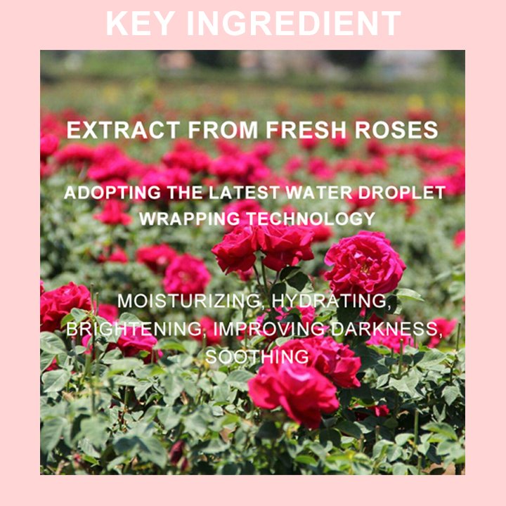 Stock Custom Logo Private Label Rose Water Face Cream Skin Care Moisturizer Soothing Hydrating Shrinking Pores Nourishing Cream
