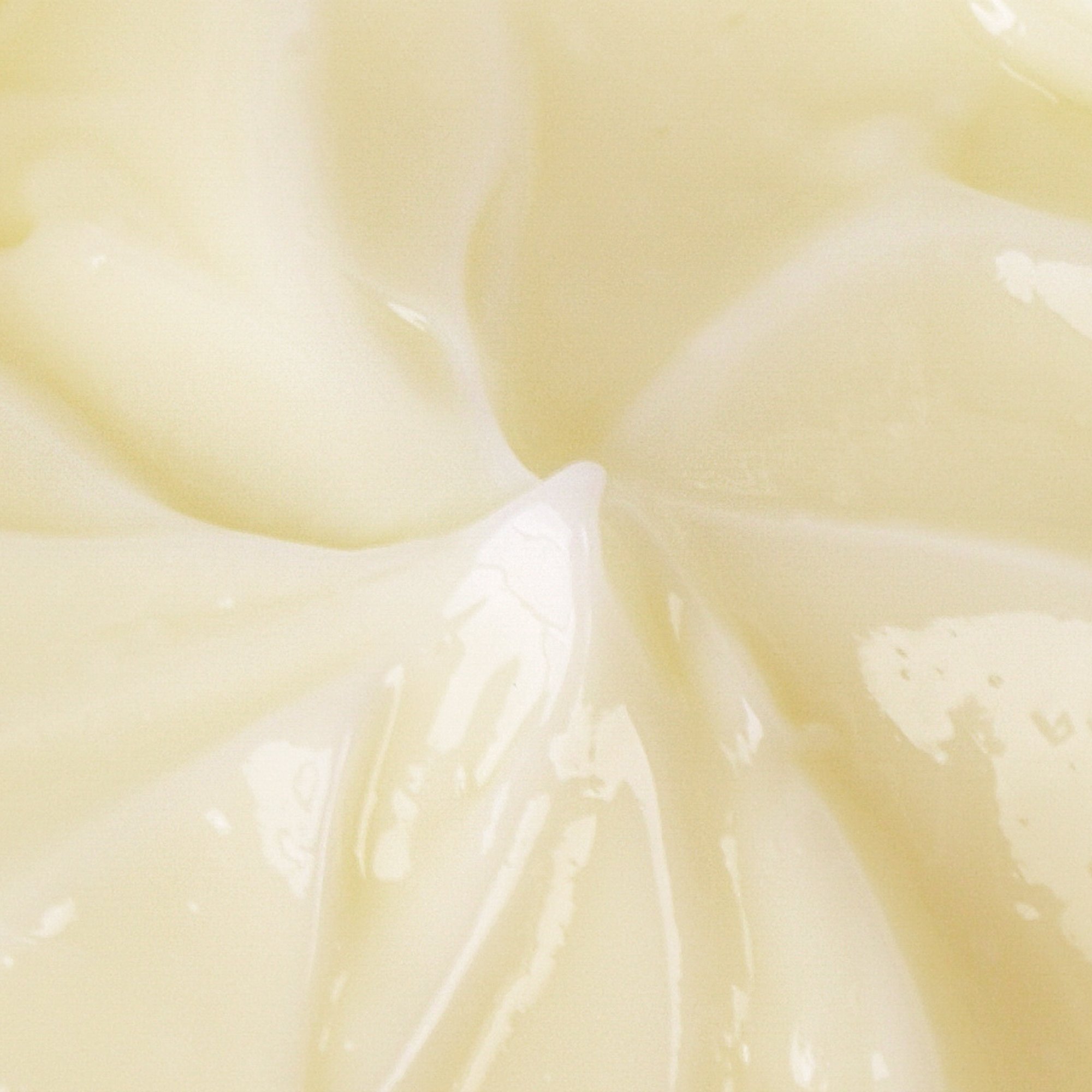 New Product Natural Moisturizer Cream Vitamin E Anti-Oxidation Reduce Fine Lines Bakuchiol Face Cream