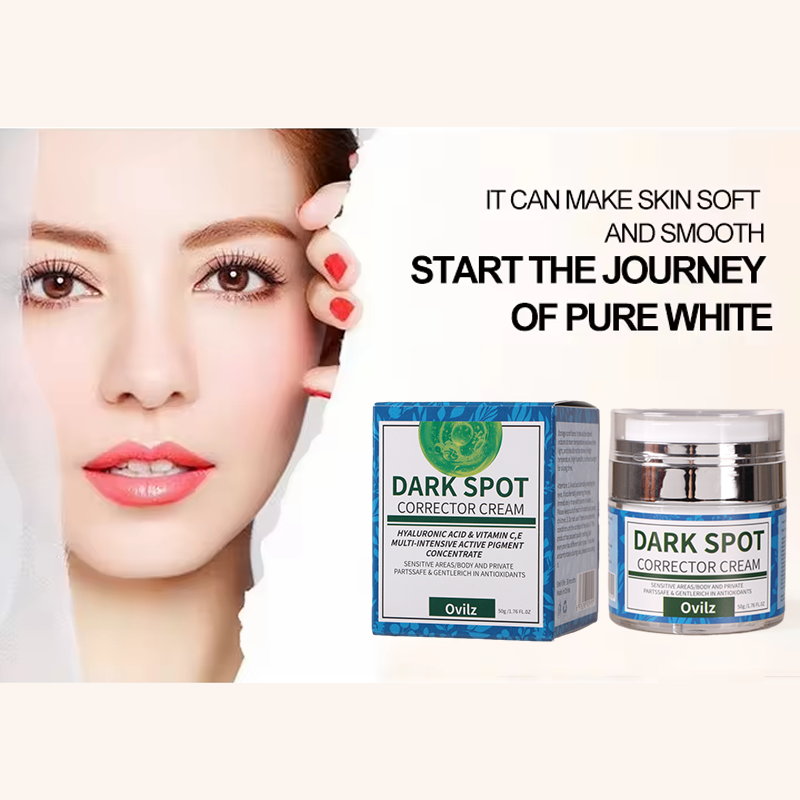 OEM Quality Wholesale Skin Care Face Cream Dark Spot Removing Cream Pigmentation Correctors Anti Wrinkle Facial Cream