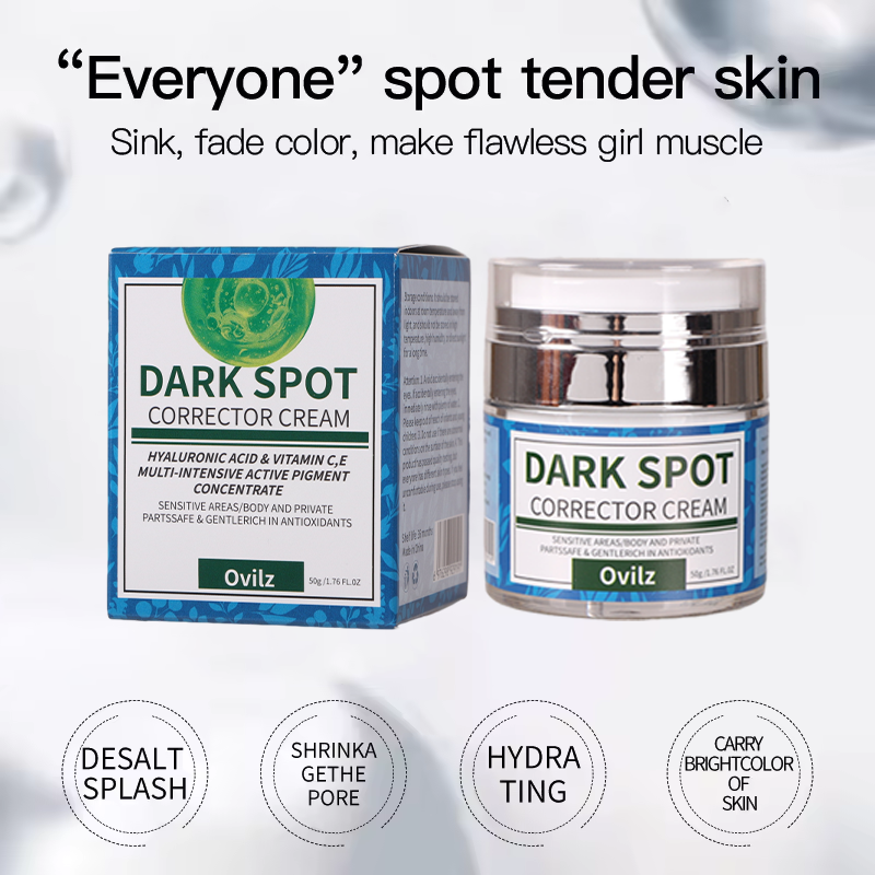 OEM Quality Wholesale Skin Care Face Cream Dark Spot Removing Cream Pigmentation Correctors Anti Wrinkle Facial Cream