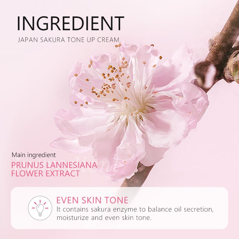 High Quality Best Selling Good Price Whitening Tone Up Anti-wrinkle Sunblock Facial Face Cream