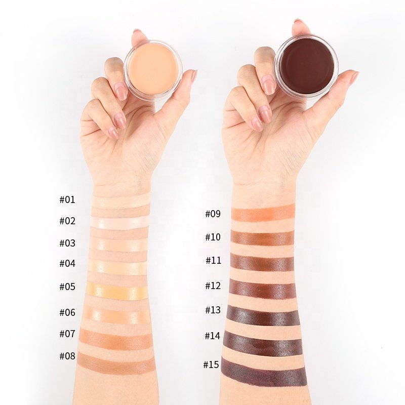 Private Label High Pigment Concealer Creamy Makeup Light Weight Long Lasting Full Coverage OEM Concealer For Face And Body