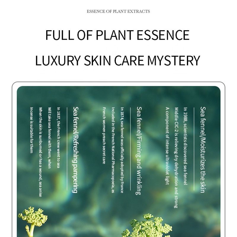 Sea Fennel Hyaluronic Acid Skincare Set Luxury Kit Toner Lotion Face Cream Facial Cleanser Serum Skin Care Products Gift Box Set