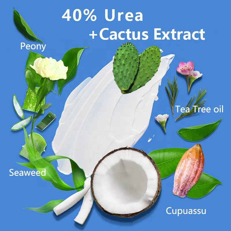 Private Label OEM Face Cream With Urea For Dry Skin Urea 40% Cream Moisturizer Whitening Vitamin E Lotion For Black Skin