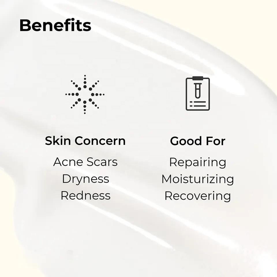 Advanced Snail 92% All-In-One Skin Care Serum Premium Nutrient-Rich Cream For Firming Dark Circles OBM Face Cream Set Dry Skin