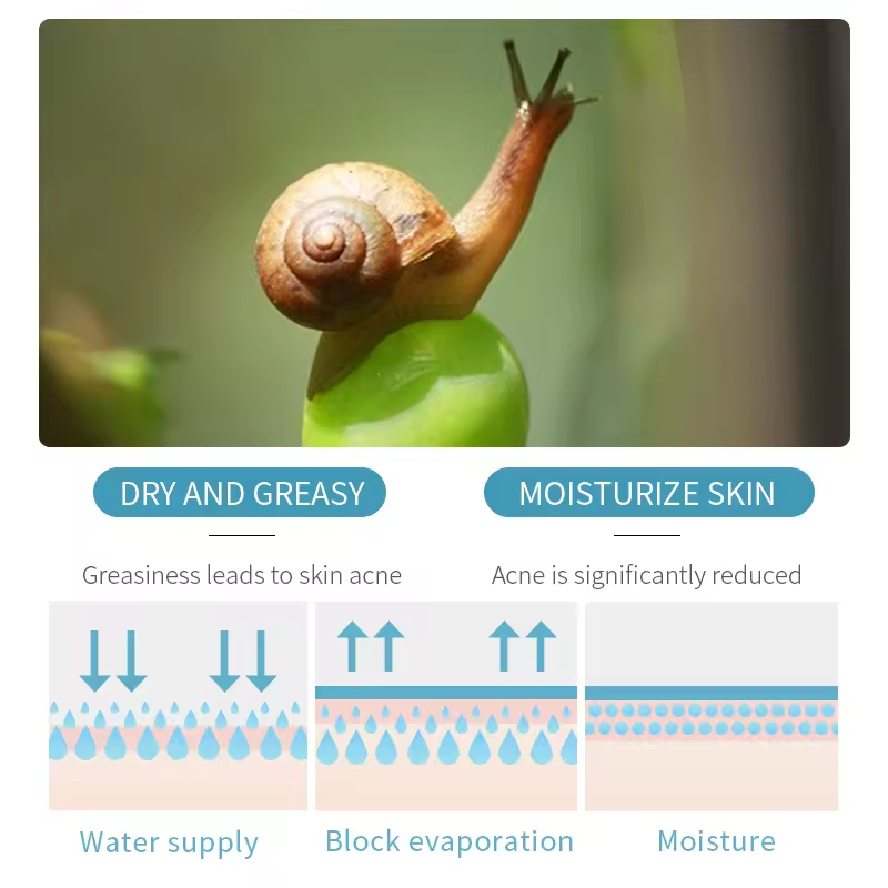 Repair skin care Snail best face cream for fair skin cream Collagen Moisturizing anti wrinkle aging Repair Face Cream