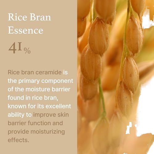 Custom Natural Organic Deep Moisturizing Facial Skin Care Tightening Anti Wrinkle Anti-aging Whitening Rice Face Cream
