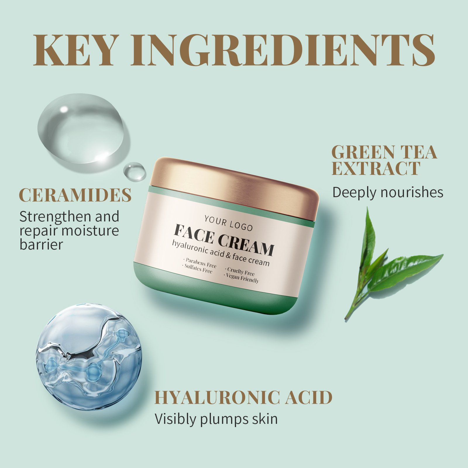 Anti-Ageing Moisturiser brightening face cream anti wrinkle anti aging cream private label