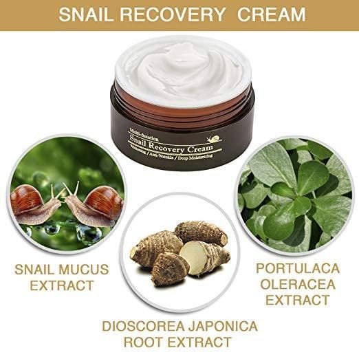 Private Label Deep Moisturizing Anti Wrinkle Snail Mucin Recovery Face Cream