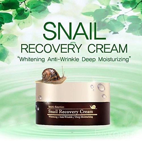 Private Label Deep Moisturizing Anti Wrinkle Snail Mucin Recovery Face Cream
