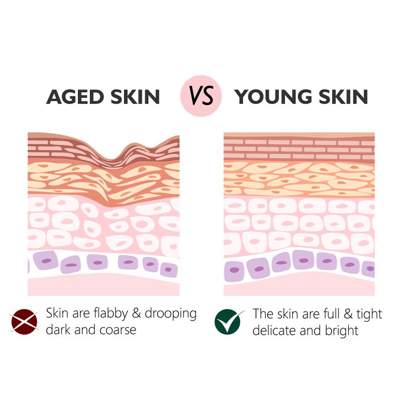 OEM Factory Wholesale Vitamin A Retinol Arbutin Skin Care Moisturizing Nourishing Multi-effect Repair Anti-Aging Face Cream
