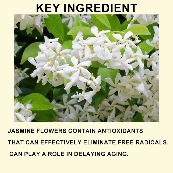 Anti Aging Skin Revitalizer Moisturizer Face Cream Skin Care Jasmine Moisturizing And Hydrating Face Cream
