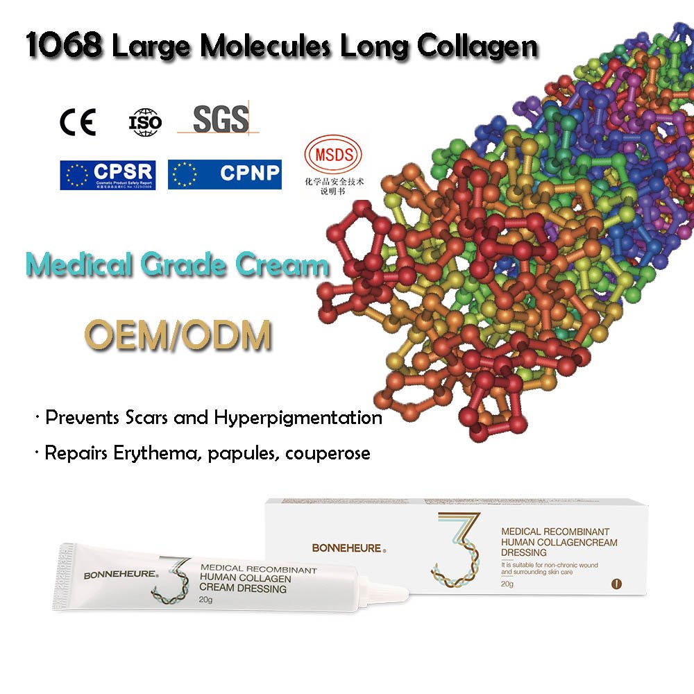 Post Laser Peel Recovery Glow Minimized Pore Recombinant Humanized Type III Collagen Repair Face Cream
