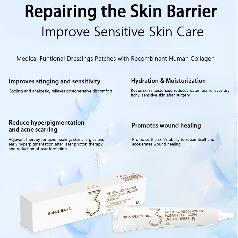 Post Laser Peel Recovery Glow Minimized Pore Recombinant Humanized Type III Collagen Repair Face Cream