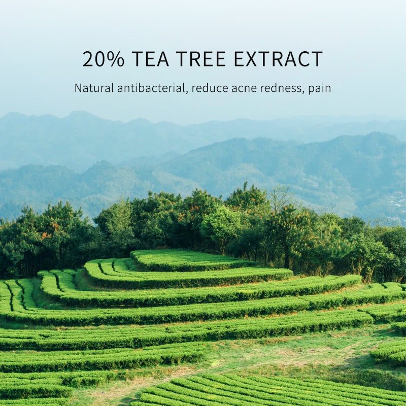 Private Label Best Organic Natural Tea Tree Oil Dark Spot Removal Anti Pimple Repair Scar Treatment acne and pimple Face Cream