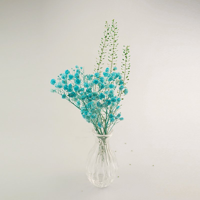 Eco-Friendly Dry Flower Decorative Babys Breath Bouquet Gypsophila Reed Diffuser