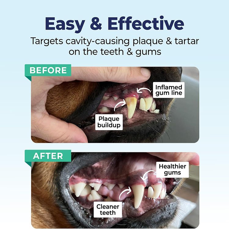 Custom Dog Teeth Cleaning Wipes Extra Thick 90g Finger Wipes for Dogs Cats Reduces Plaque Freshens Breath Dental Wipes