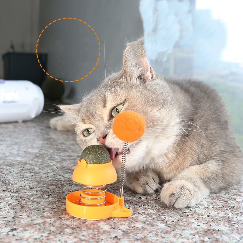 Wholesale Custom Service Cat Nip Ball Wall Toy New Arrival Fresh Breath Freshener Plastic Sustainable for Cat Training Chewing