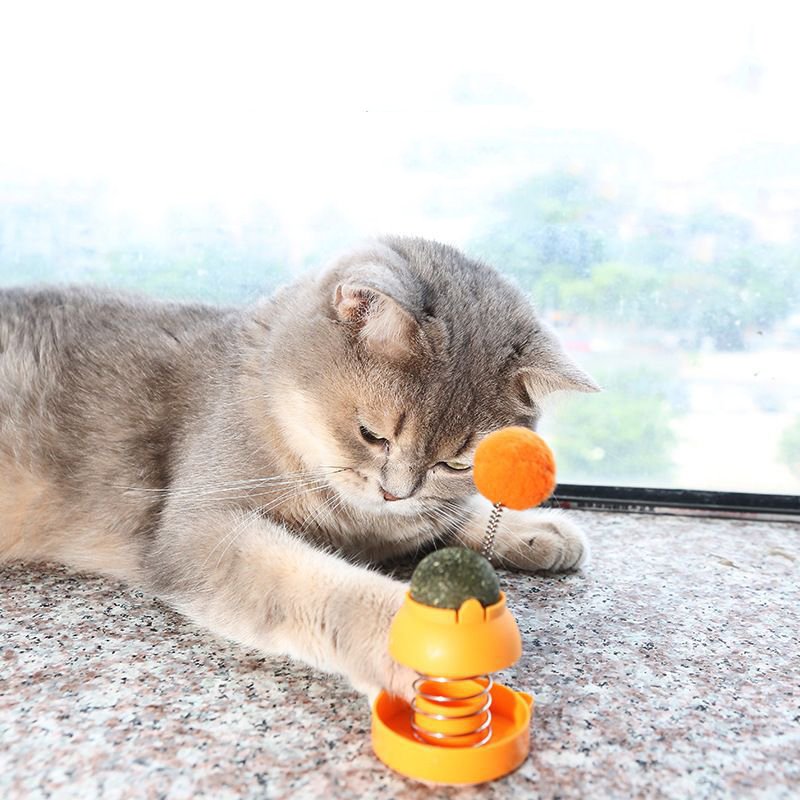 Wholesale Custom Service Cat Nip Ball Wall Toy New Arrival Fresh Breath Freshener Plastic Sustainable for Cat Training Chewing