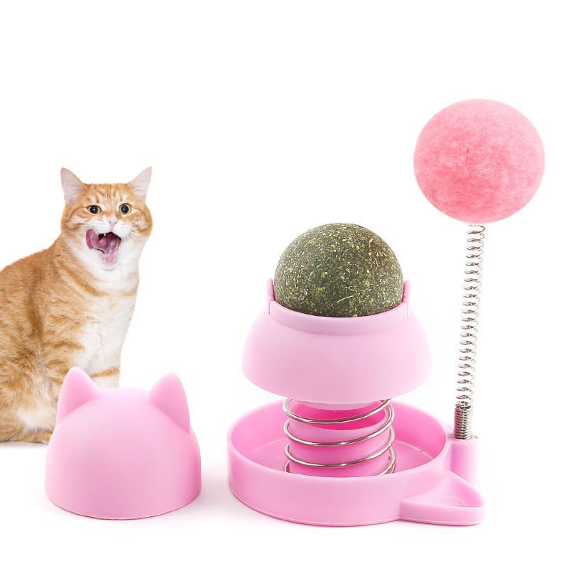 Wholesale Custom Service Cat Nip Ball Wall Toy New Arrival Fresh Breath Freshener Plastic Sustainable for Cat Training Chewing