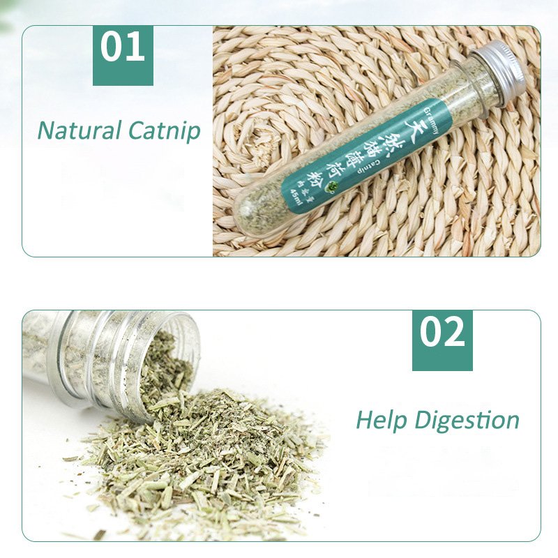 Natural Fresh Cat Catnip Help Digestion Freshen Breath Calm Cats Emotions Catnips
