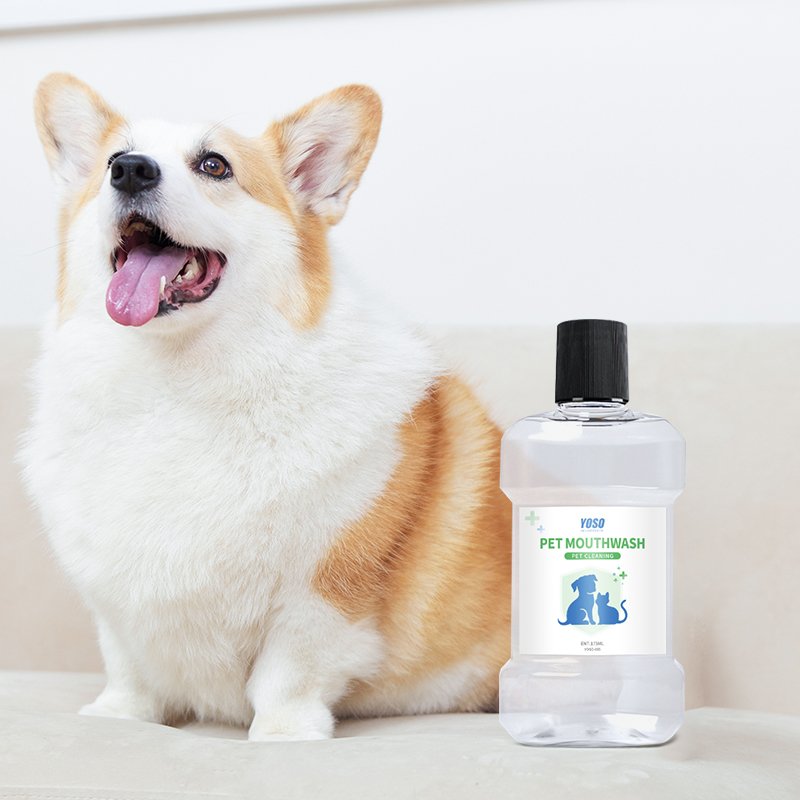 Eating Pet Dental Flesh Water Additive Mouth Wash Pet Drinking Oral Dental Cleaning Water for Dog & Cat