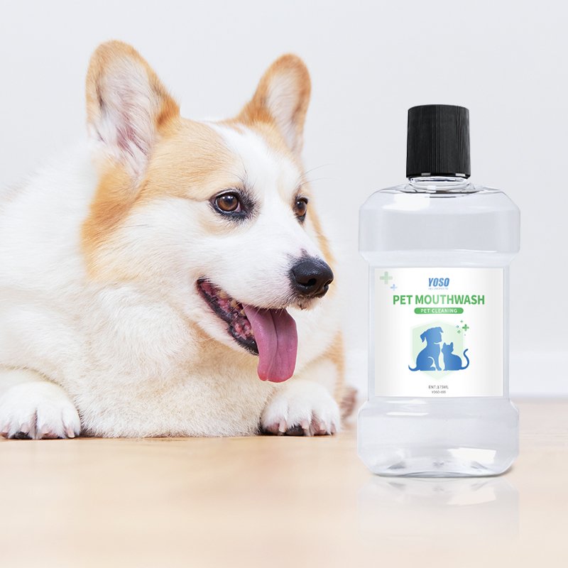 Eating Pet Dental Flesh Water Additive Mouth Wash Pet Drinking Oral Dental Cleaning Water for Dog & Cat