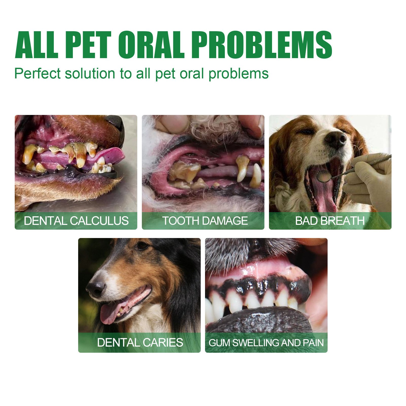 Pet tooth deodorant Spray for cats and dogs to remove bad breath mouth cleaning breath freshening spray