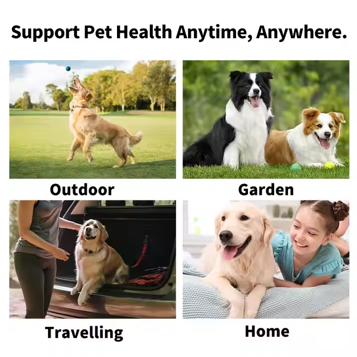Natural Formula Dog Teeth Wipes for Dental Care Finger Wipes to Clean Teeth and Gums Freshen Breath for Grooming