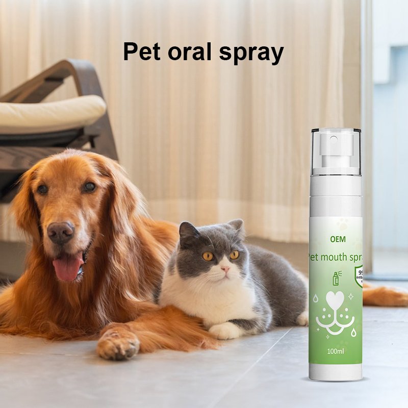 Natural Mint Spray Breath Freshener Mouth Spray Prevent Bad Odor Mouth Refresher Spray Fresh Breath Remove Bad Breath