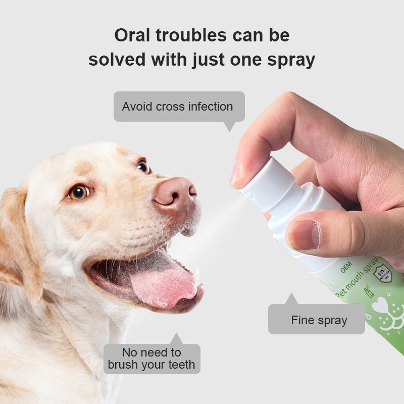 Natural Mint Spray Breath Freshener Mouth Spray Prevent Bad Odor Mouth Refresher Spray Fresh Breath Remove Bad Breath