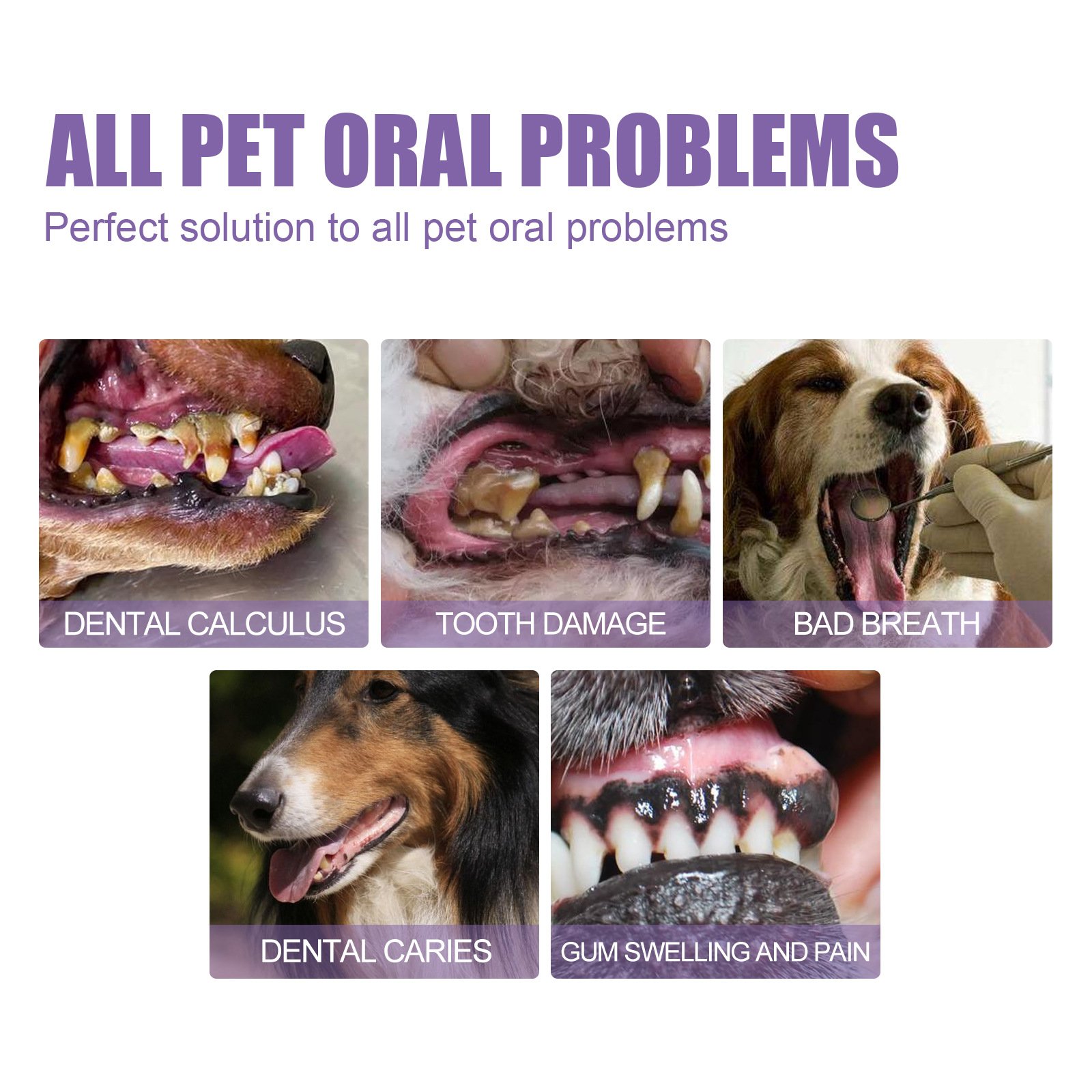Hot Sale Yegbong Strengthen Teeth Pet Oral Repair Gel Stains Cleaning Yellow Removal Teeth Whitening Pen For Dogs Cats