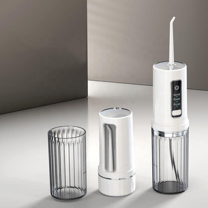 Wholesale Home Travel Dental Floss Water Flosser Smart Oral Irrigator IPX7 Waterproof Electric Teeth Cleaning Device
