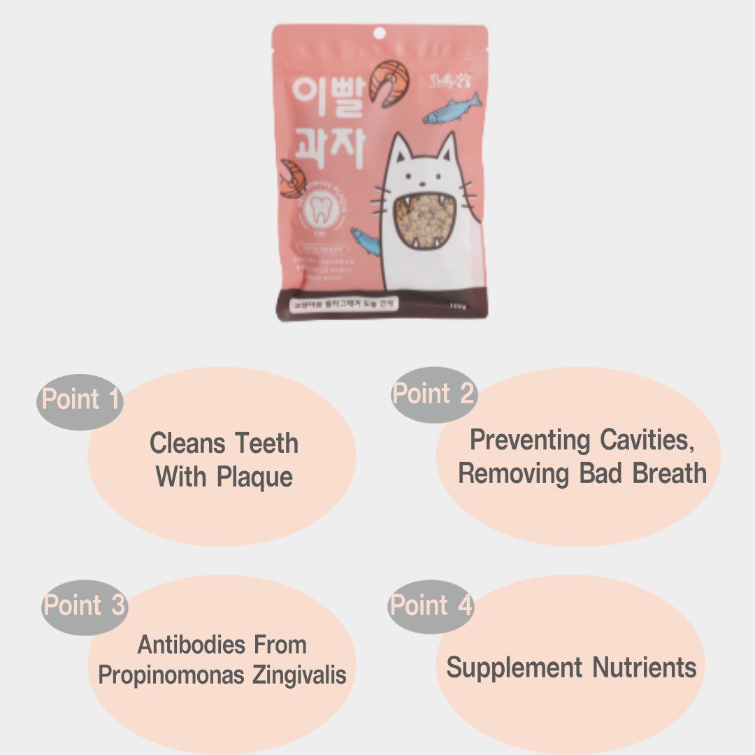 Cat Salmon Dental Food