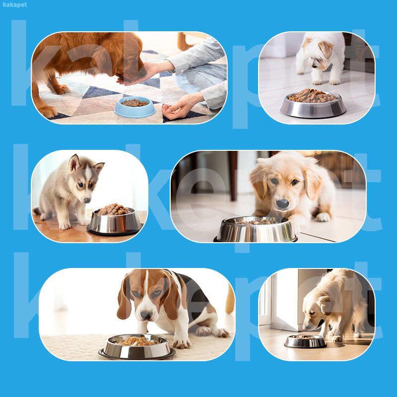 High Protein Private Label Freeze-Dried Raw Cat Food Pet Supplies Dry Pet Dog Stick Breath Freshener Food
