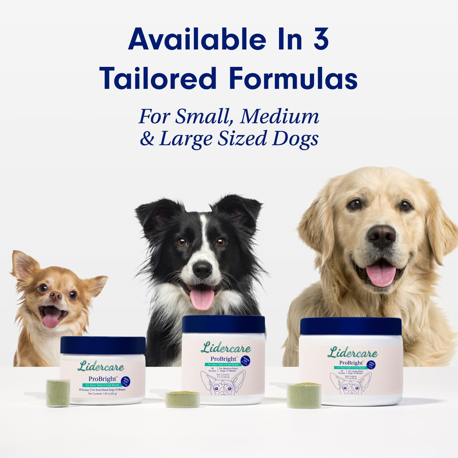 Custom Clean Teeth And Fresh Breath Pet Toothpaste For Medium-Sized Dogs toothpaste 60G