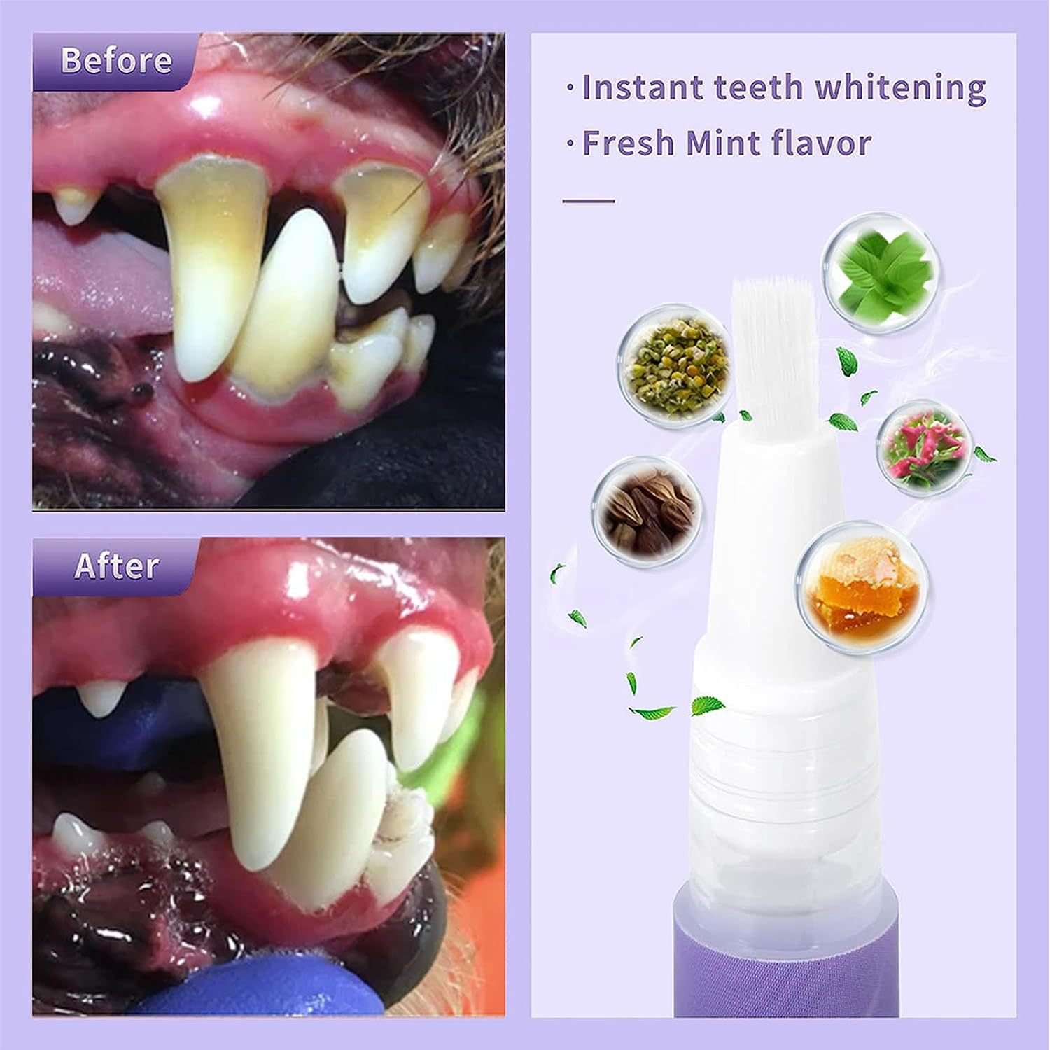 YOSHI Natural Oral Care Breath Freshing Oral Care Set Remove Dental Stains Oral Cleaning Gel Pets