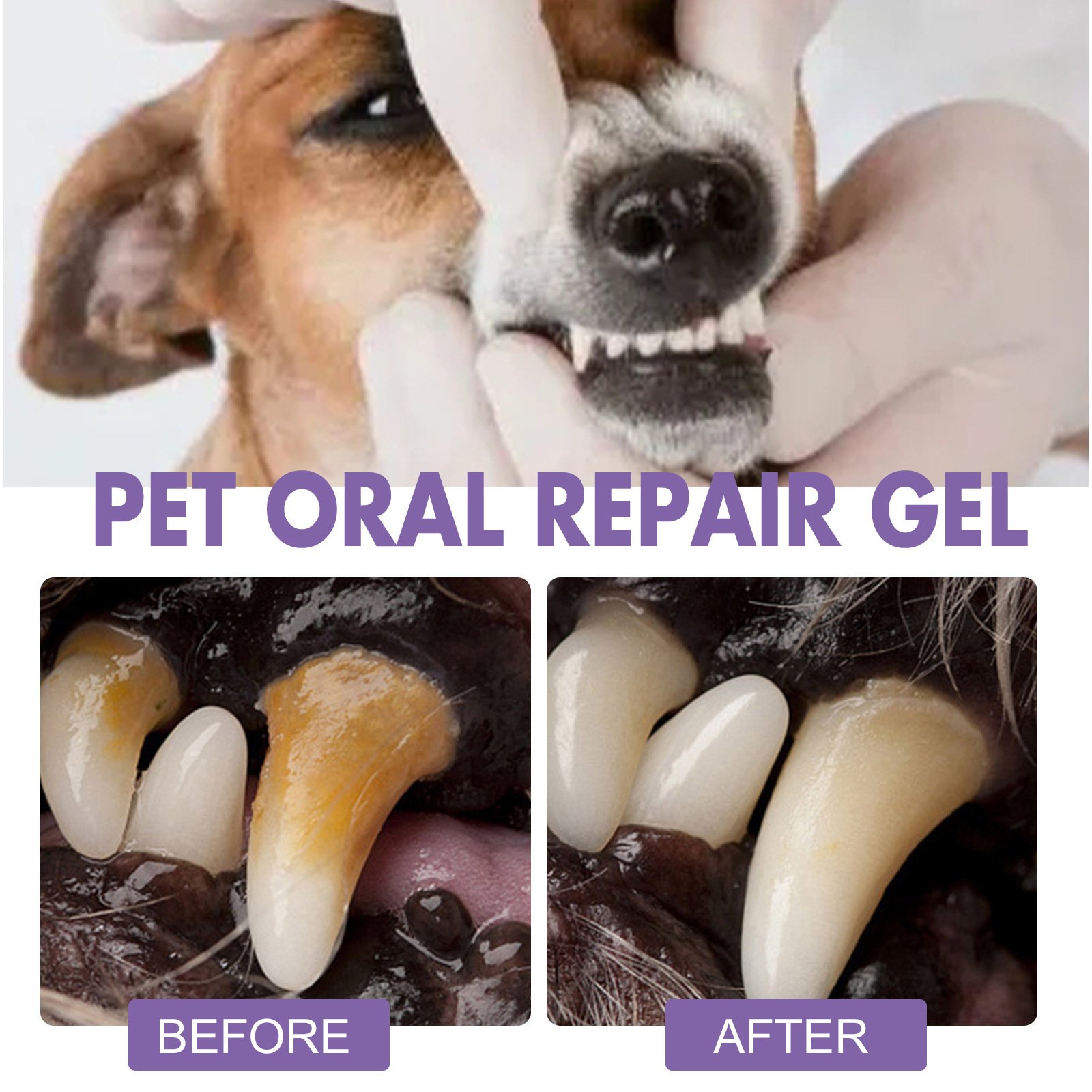 YOSHI Natural Oral Care Breath Freshing Oral Care Set Remove Dental Stains Oral Cleaning Gel Pets