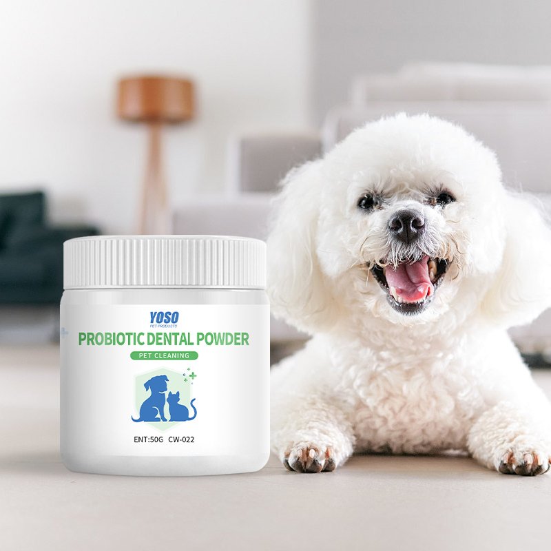 50gPet Oral Hygiene Powder with Natural Antibacterial Formula All-Natural Pet Dental Care Powder for Fresh Breath Gums