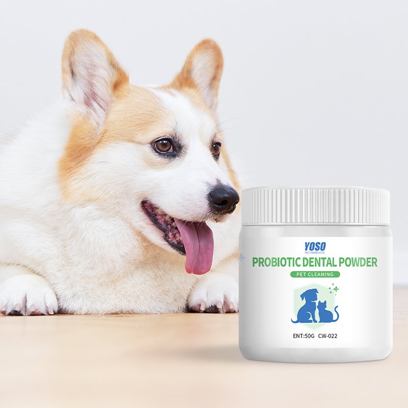 50gPet Oral Hygiene Powder with Natural Antibacterial Formula All-Natural Pet Dental Care Powder for Fresh Breath Gums