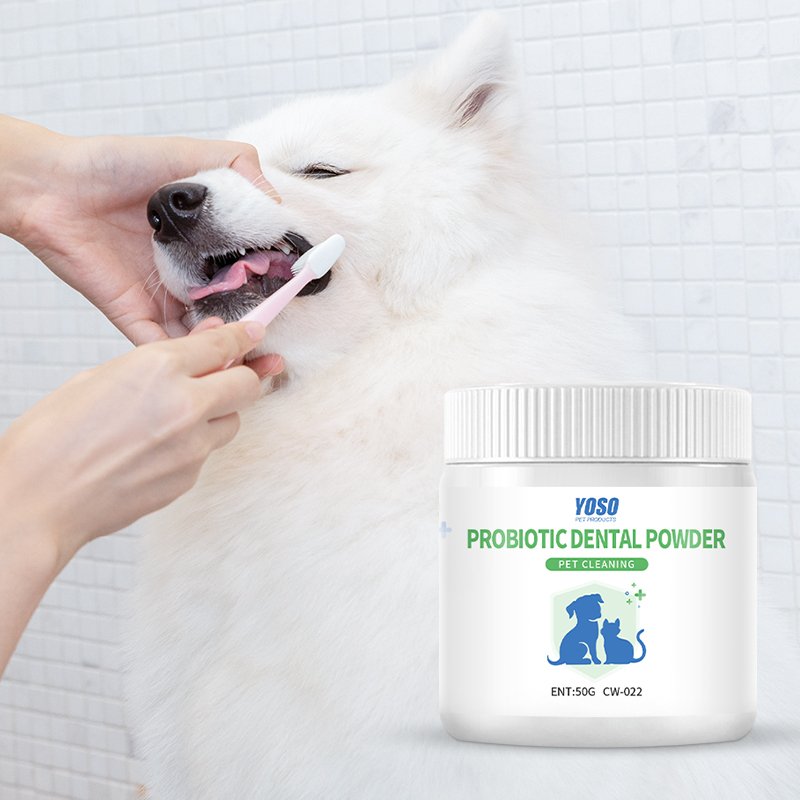50gPet Oral Hygiene Powder with Natural Antibacterial Formula All-Natural Pet Dental Care Powder for Fresh Breath Gums
