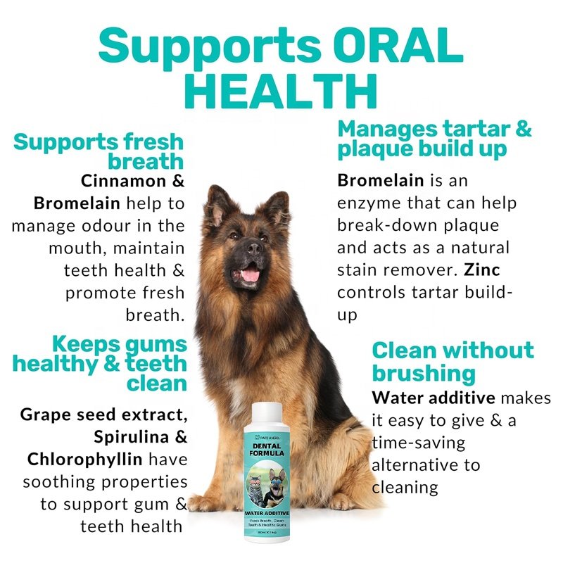 Dental Formula for Pets Essential Supplement for Pet Health Care