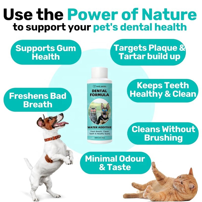 Dental Formula for Pets Essential Supplement for Pet Health Care