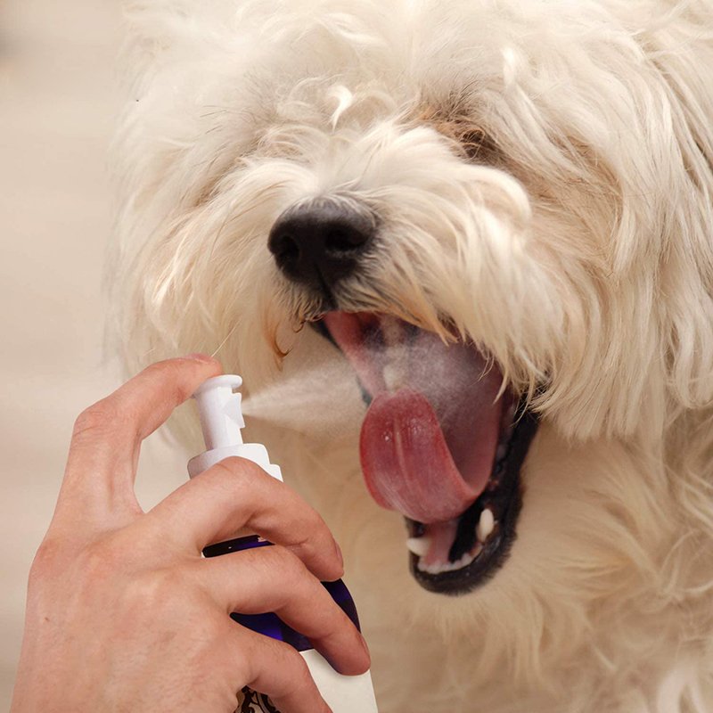 Private Label Natural Breath Freshener Cleaner Liquid Tartar Remover Pet Oral Care Dental Spray