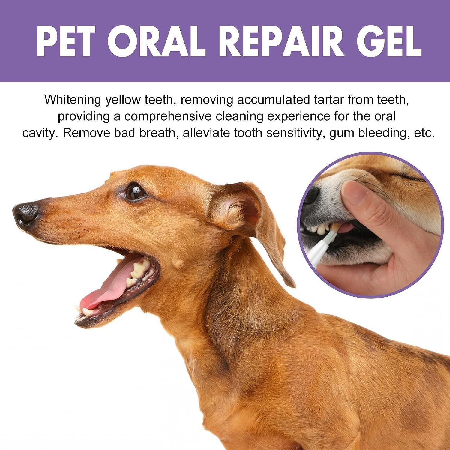 Pet Oral Repair Gel Teeth Cleaning Tartar & Plaque Eliminate Bad Breath Yellow Removal Whitening Cat & Dog Teeth Cleaning Pen