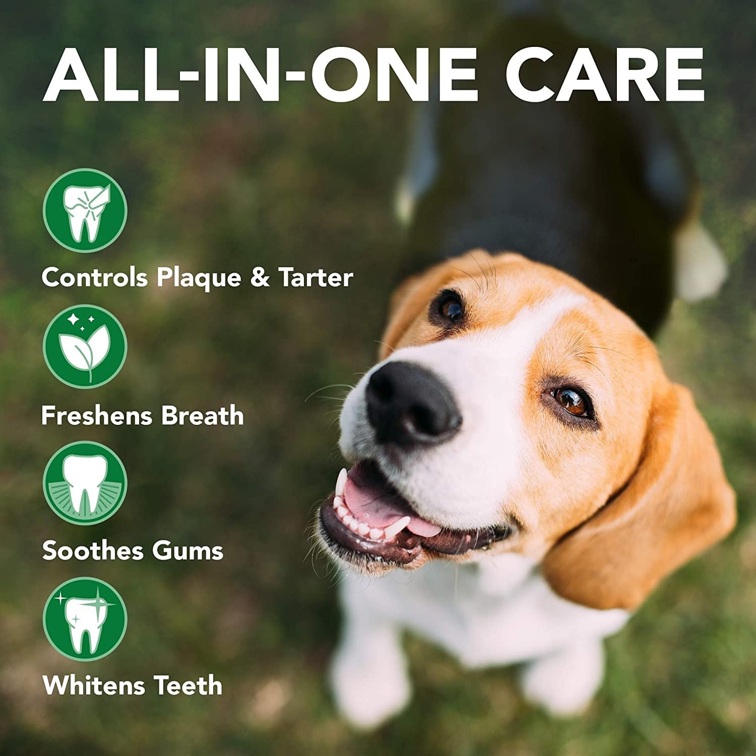 OEM Pet Enzymatic Toothpaste Private Label Veterinary Formulation Natural Freshens Breath Dog Cat Pet Enzyme Toothpaste