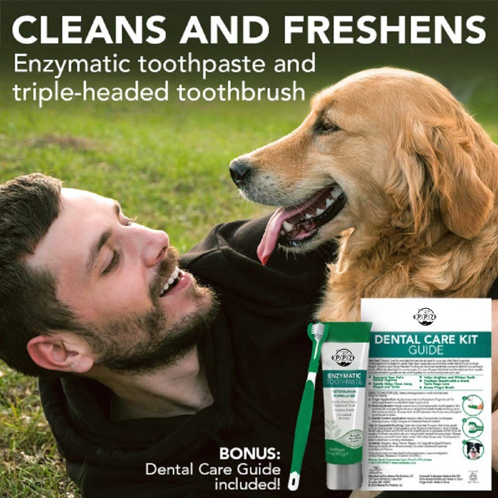 OEM Pet Enzymatic Toothpaste Private Label Veterinary Formulation Natural Freshens Breath Dog Cat Pet Enzyme Toothpaste