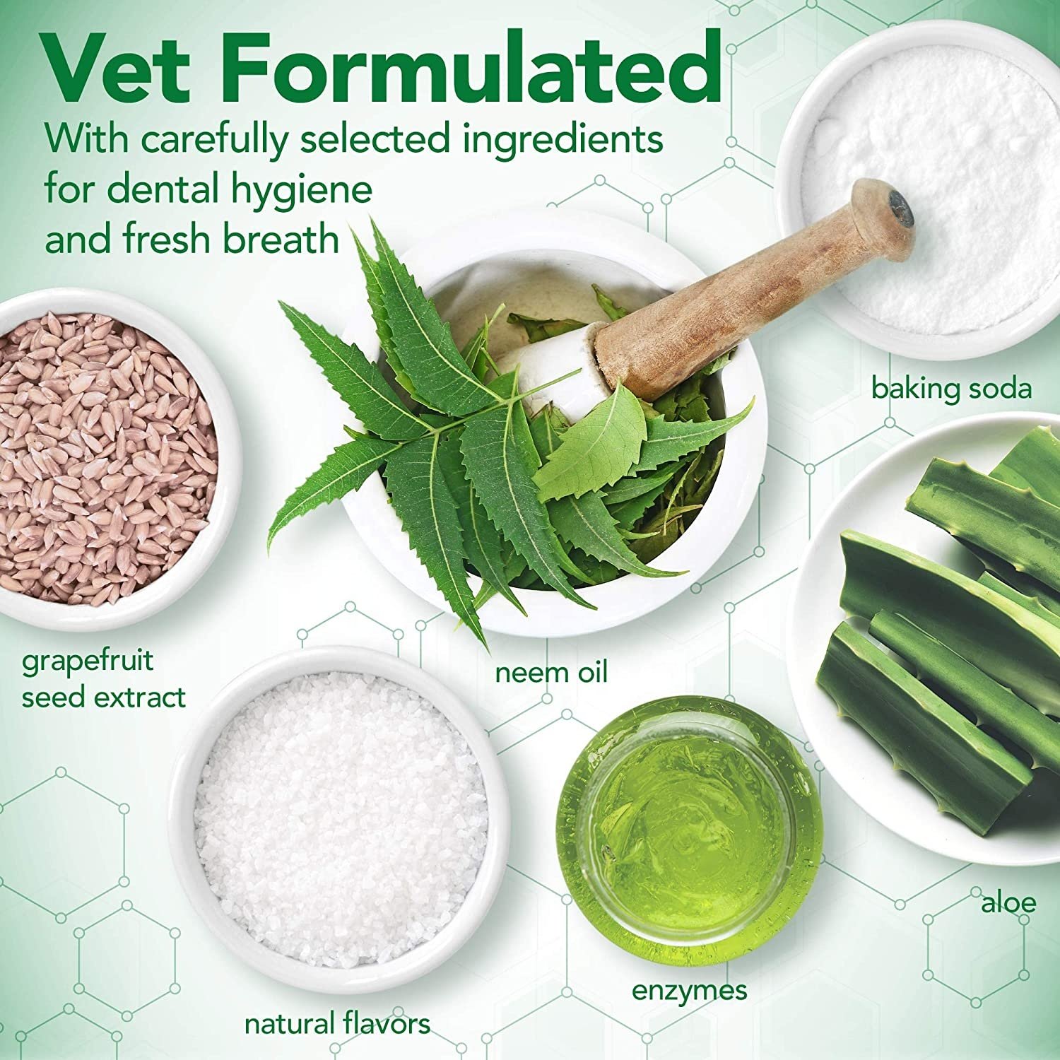 OEM Pet Enzymatic Toothpaste Private Label Veterinary Formulation Natural Freshens Breath Dog Cat Pet Enzyme Toothpaste